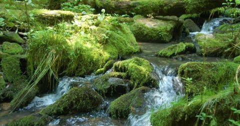 Most People Don't Know These 5 Waterfalls Are Hiding In Indiana