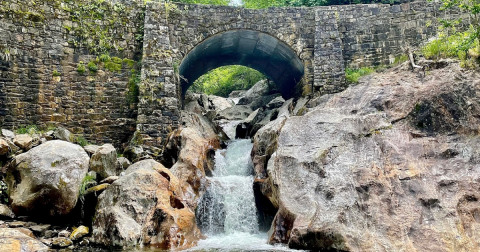 This Secluded Lagoon In North Carolina Might Just Be Your New Favorite Swimming Spot