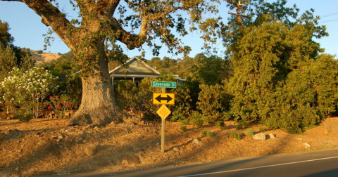 One Of The Most Scenic Drives In America Is Right Here In Northern California