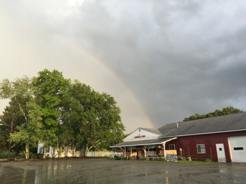 One Of The Most Incredible Small Businesses In Rhode Island, Jaswell’s Farm Has Been Family-Owned For More Than A Century