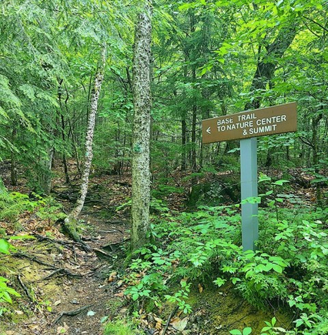 Everyone From Beginners To Advanced Hikers Will Enjoy A Day At Borestone Mountain In Maine