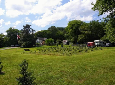 Get Lost In Thousands Of Beautiful Lavender Plants At Gigi's Lavender Farm In Nashville