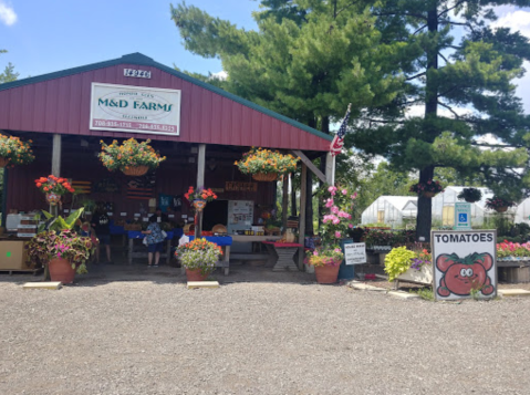 Pick Your Own Sunflowers At This Charming Farm Hiding In Illinois