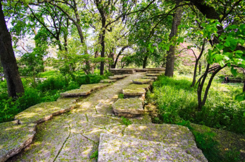 Enjoy The Beauty, Peace, And Quiet Of The Alfred Caldwell Lily Pool In Illinois