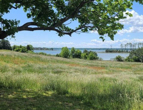 A Beautiful Riverfront Park, Machicomo State Park Is The First State Park Honoring Virginia's Native Tribes