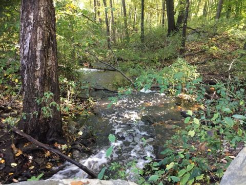 Discover Ancient History Along This 3.2-Mile Trail In Cumberland, Rhode Island