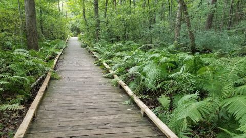 The Hike Near Detroit That Leads To The Most Unforgettable Destination