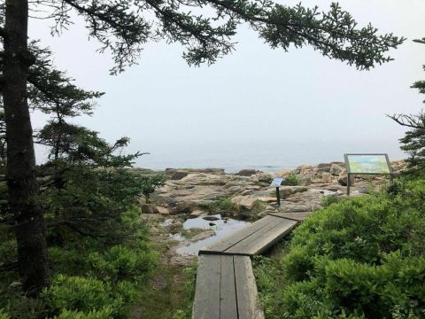 Ship Harbor Trail Is A Boardwalk Hike In Maine That Leads To A Rocky Beach