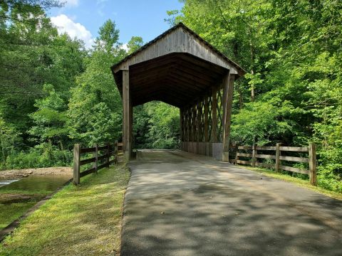 Step Back In Time To The Gold Mining Era With This Hike Along Martin’s Mine Trail In Georgia