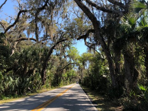 The Ormond Scenic Loop & Trail In Florida Takes You From The Bay To The Beach And Back