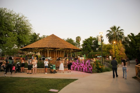 Go Wild With The Animals Of Arizona's Reid Park Zoo After Dark At Summer Safari Nights