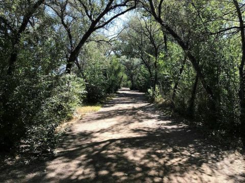 Walk Right Along The Animas River On This Shaded And Beautiful Family-Friendly Hike In New Mexico