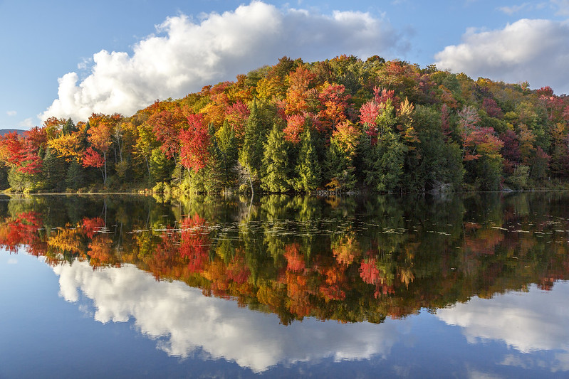 Vermont banner image