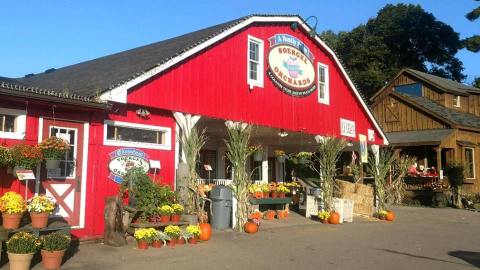 The Best Place In Pittsburgh To Get Your Apple Cider Donut Fix This Fall