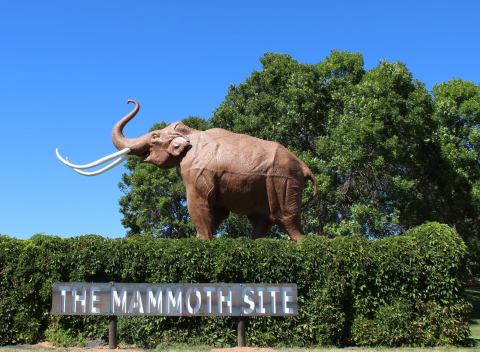 Visit These Fascinating Fossils In South Dakota For An Adventure Into The Past