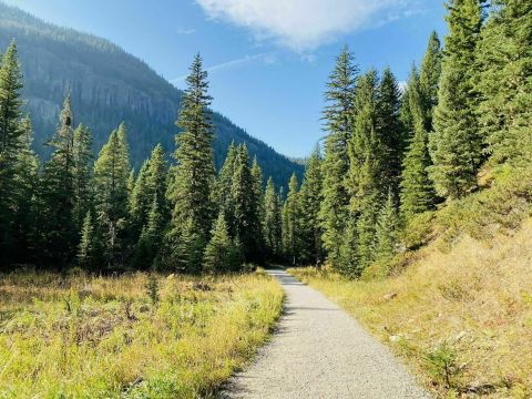 Grotto Falls Trail In Montana Leads To A Waterfall With Unparalleled Views