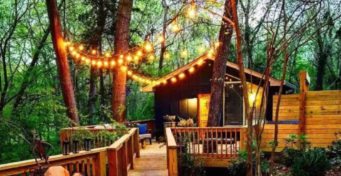 This Luxury Tree House In South Carolina Is A Magical Place For A Getaway