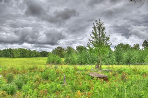 The Once Thriving Community Of Sylvesteria, Mississippi Has Been Reduced To A Few Tombstones In An Overgrown Cemetery