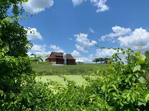 Enjoy Farm-To-Table Cuisine In A Converted Barn At Gibbet Hill Grill In Massachusetts