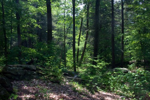 Check Out The Beautiful And Underrated Clarence Fahnestock State Park In New York