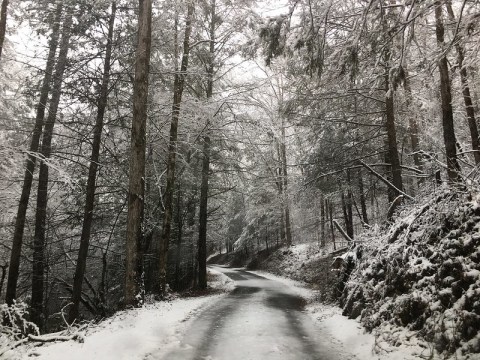 Prepare Yourself For Slushy Weather This Winter In Georgia, According To The Farmers Almanac