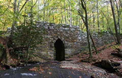 Take Cherokee Foothills Scenic Byway Through South Carolina For An Incredible Adventure That Ends In The Forest