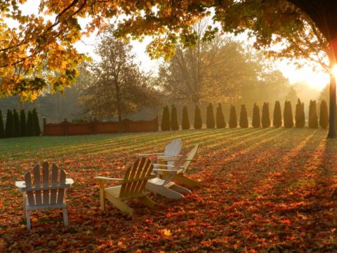 The Gardens Of Matter Is A Little-Known Park In Indiana That Is Perfect For Your Next Outing