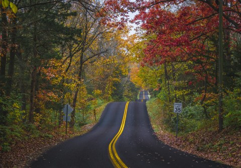 When And Where To Expect Missouri's Fall Foliage To Peak This Year