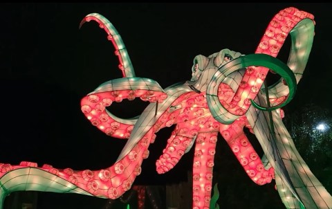 There’s An Asian Lantern Festival At The Pittsburgh Zoo And It’s Downright Magical