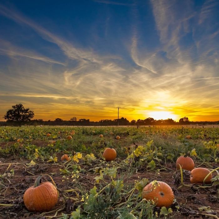 Northern California banner image