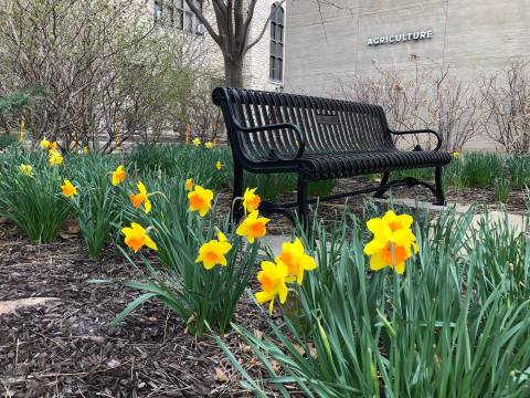 Stroll Through The Enchanting 735-Acre Mizzou Botanic Garden In Missouri, A Nature Lover's Dream