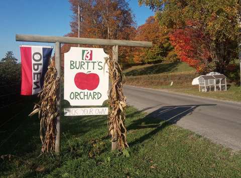 Stock Up On All Your Fall Favorites At This Vermont Apple Orchard 