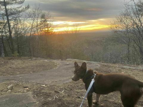 Mount Agamenticus Is A Unique Dog-Friendly Destination In Maine Perfect For An Outdoor Adventure