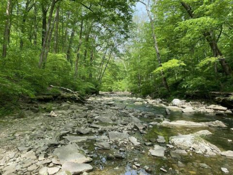 The Wolf Cave Trail Loop In Indiana Takes You From Sinkholes To Caves And Back