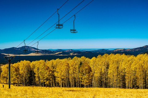 When And Where To Expect Arizona's Fall Foliage To Peak This Year