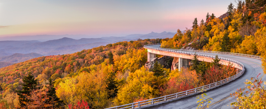 North Carolina banner image