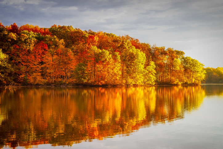 Illinois banner image