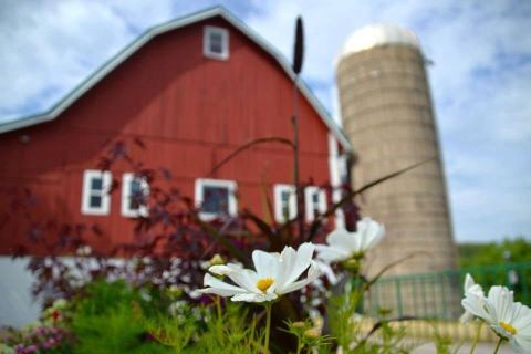 The Picture-Perfect Botham Winery Is One Of The Most Beautiful Places To Enjoy A Glass Of Wine In Wisconsin