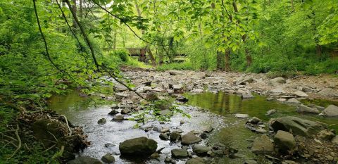 Rocky Run Loop Is A Gorgeous Forest Trail In Delaware That Will Take You To A Hidden Overlook