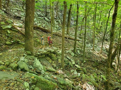 McKay Hollow Trail Was Recently Named One Of Alabama's Best Hiking Trails