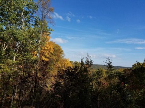 The Magnificent Brown County Trail In Indiana That Will Lead You To A Hidden Overlook