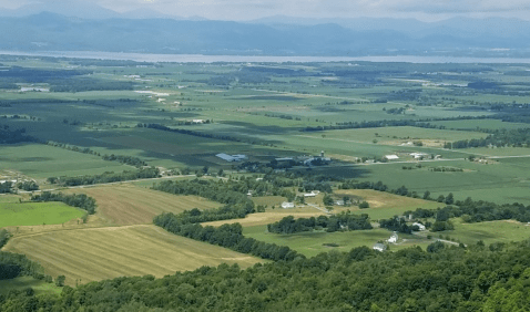 Take A Hike On This One-Of-A-Kind Trail In Vermont To See Spectacular Views And Birdwatch Too