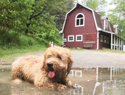 Experience This Small Vermont Town By Staying In Your Very Own Barn