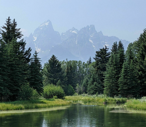 This Easy 1.8-Mile Trail Will Lead You Through A Wyoming Forest