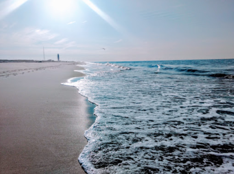 This Waterfront State Park In New York Will Make Your Summer Magical