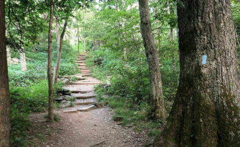 This 1-Mile Loop Might Just Have The Best Views In All Of Virginia's Shenandoah National Park