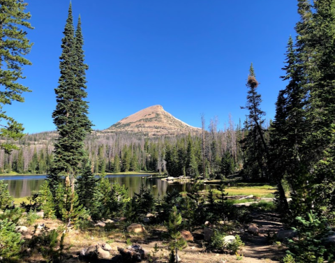 Camp At 10,000 Feet With Endless Views At This Utah Campground