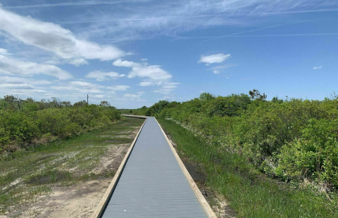 The Marsh Ridge Trail In Virginia Takes You From The Bay To The Beach And Back