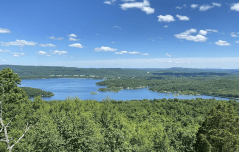 This 5-Mile Trail In New Jersey Takes You Through The Enchanting Norvin Green State Forest