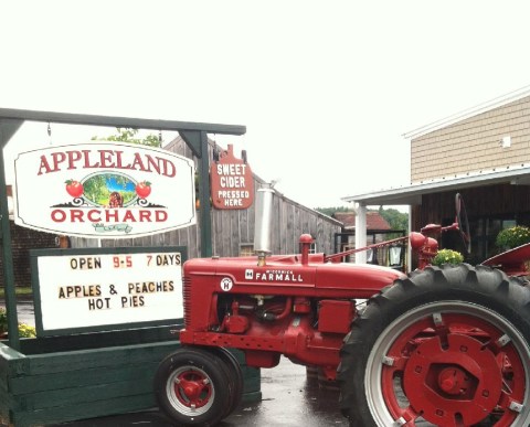 Slip Into Fall Mode Sipping Cider And Picking Apples At This Charming Orchard